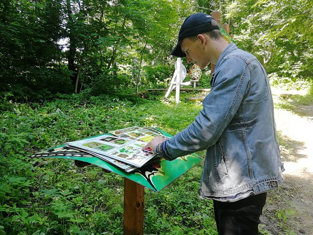 Цікаво вивчати ентомофауну